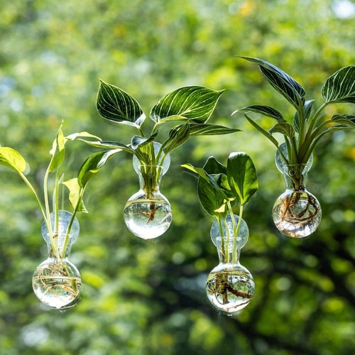 4pcs wall hanging planter - 4pcs,