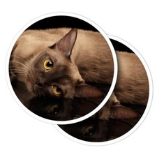 2x Vinyl Stickers Burmese Cat
