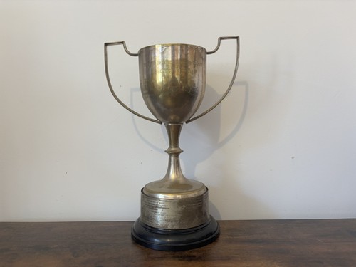Very large inches - large, 13.75
