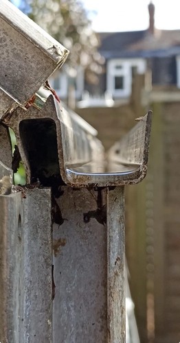 Eden greenhouse gutter - greenhouse,