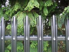 Palisade Fencing Kit Galvanised Steel 2.75m Run  - FULL KIT INCLUDED