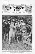 ASHDOWN FOREST Bagging the