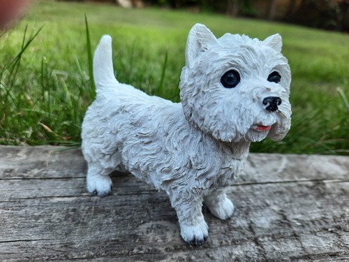 Garden dog westie outdoor - garden,