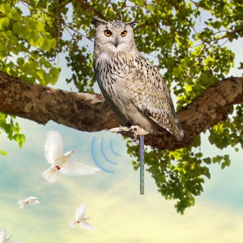 Realistic owl decoy deterrent - decoy,