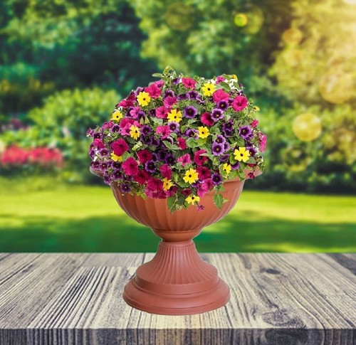 Terracotta grecian urn - grecian, patio