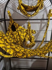 6 Piece Cage Set Sugar Gliders Cage Toys Exotic Pets