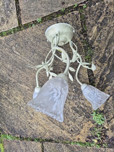 Shabby chic green cream - x,
