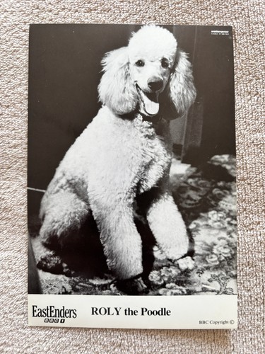 Roly the poodle - poodle, (eastenders)