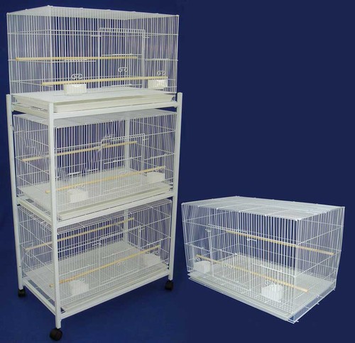 Lot large bird - of, 4