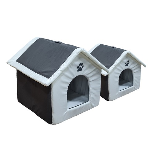 Pet cat kitten dog - kitten,