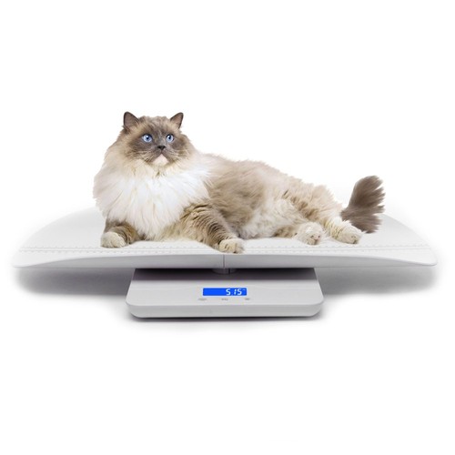Digital pet scale with - digital,