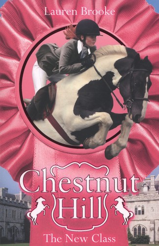The new class - (paperback),