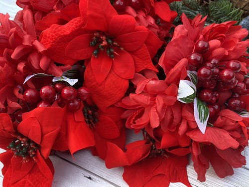 Job lot red poinsettias - poinsettias, berry