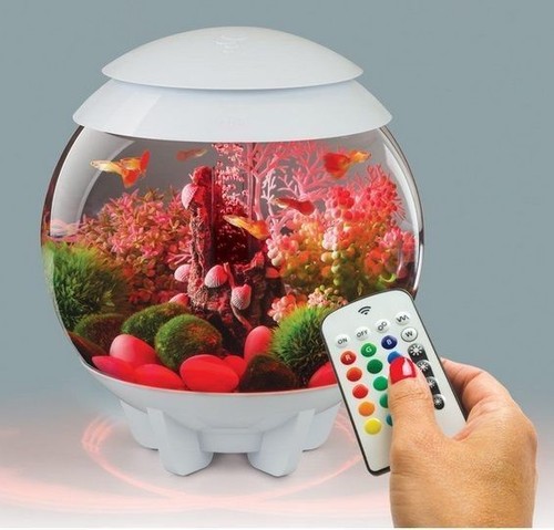 Biorb halo 15l - biorb, white