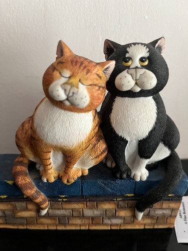 Comic curious cats - &, (a0911)