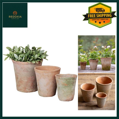 Rustic terracotta plant pots - terracotta,