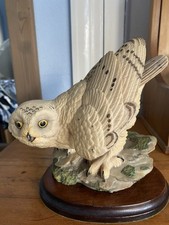 Aynsley Master Craft Snowy Owl