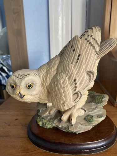 Aynsley master craft snowy - aynsley,