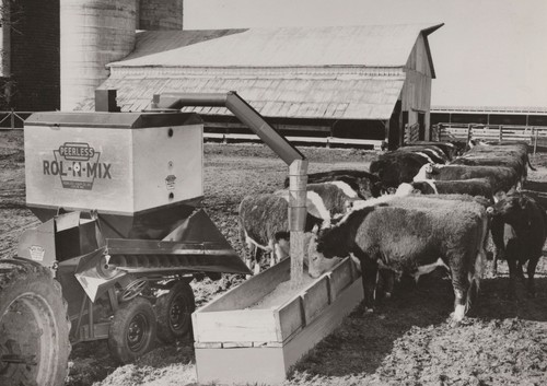1964 8x10 peerless rol mix - 1964,