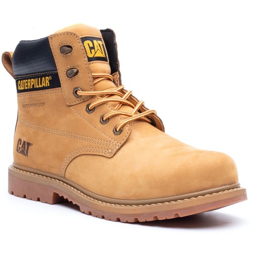 Caterpillar cat silva honey - caterpillar,
