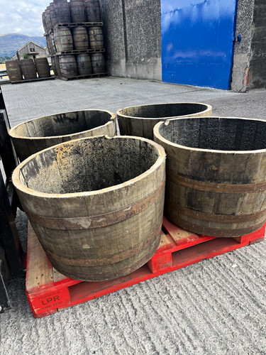 Wooden half barrel planters - 4,
