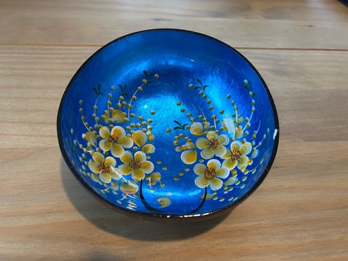 Hand painted coconut shell - painted,