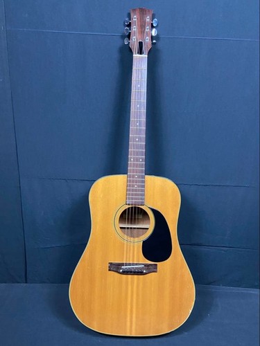 Snappy acoustic guitar - snappy,