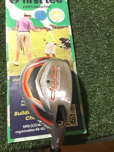 Cobra amp aft 4 hybrid - 4,