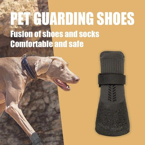 Winter dog shoes paw - dog,