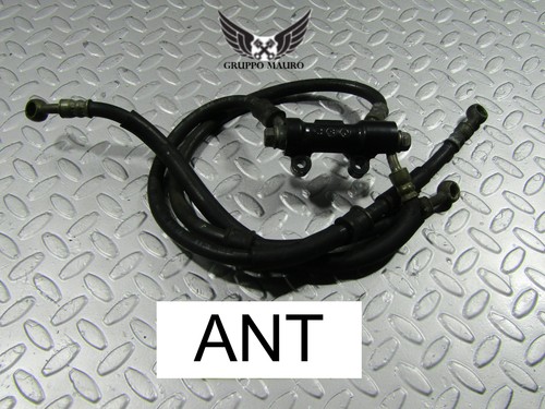 Front brake hose honda - hose,