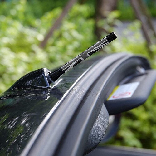 Car aerial bee - bee, sting
