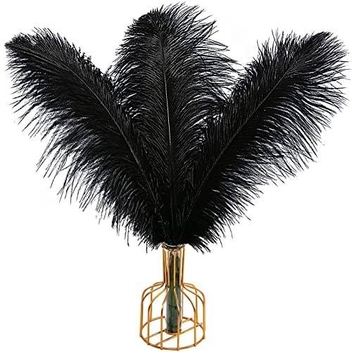 Black ostrich feathers 22in - black,