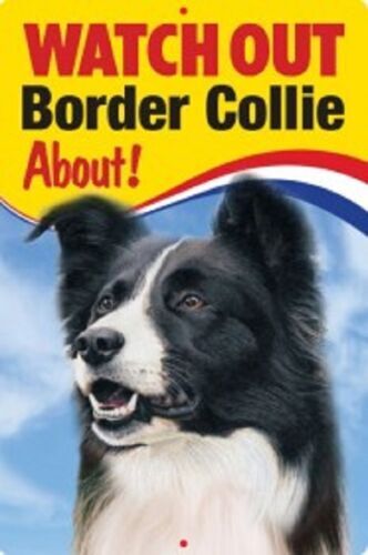 Border collie warning - border,