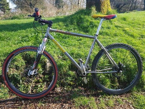 Litespeed pisgah titanium mtb - litespeed,