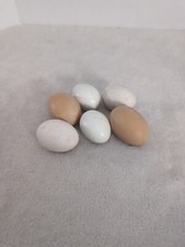 Realistic Brown and White Eggs