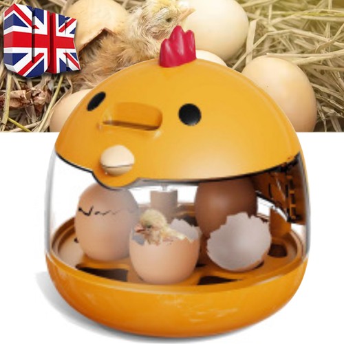 Egg incubator hatching machine - egg,