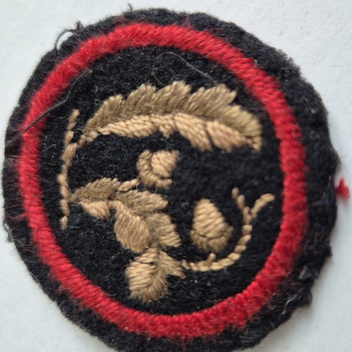 Early rare felt - girl, guide