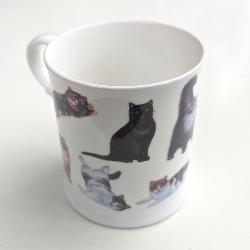 New cat breeds - new!,