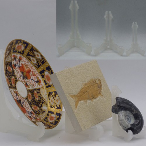 Plate holder display - plate,
