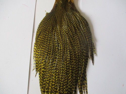 Premium cock cape - , neck