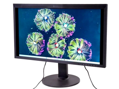 Eizo coloredge cg319x - cg319x, 31.1
