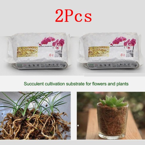 Dried sphagnum moss - dried,
