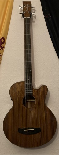 New electro acoustic bass - new,