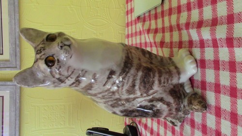 Signed winstanley cat - cat, size