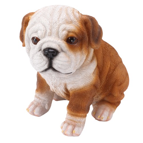 New english bulldog - new, puppy