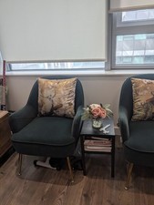 Set Of 2 Elegant Velvet Chairs