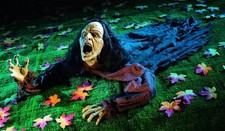 Crawling zombie halloween - crawling,