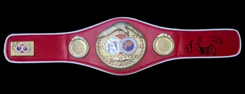 Oleksandr usyk undisputed hand - oleksandr,