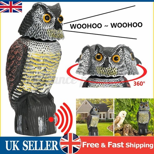 Realistic owl decoy deterrent - owl,
