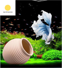 Betta Fish Accessories, Fish